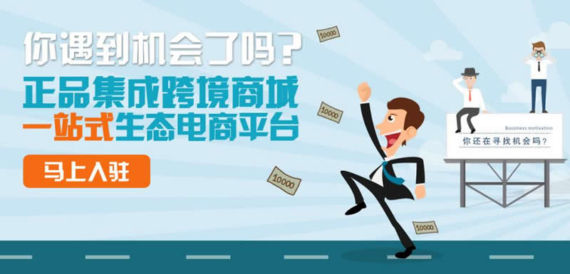電(diàn)商平台運營 電(diàn)商平台運營